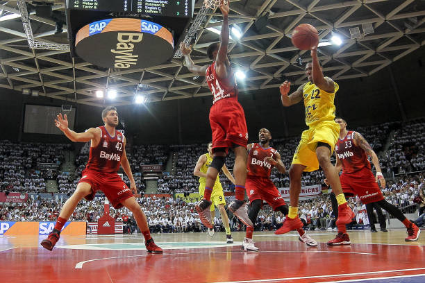 仅展示了主 仅展示了主