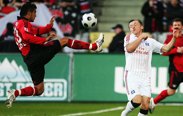 有专门研究 有专门研究